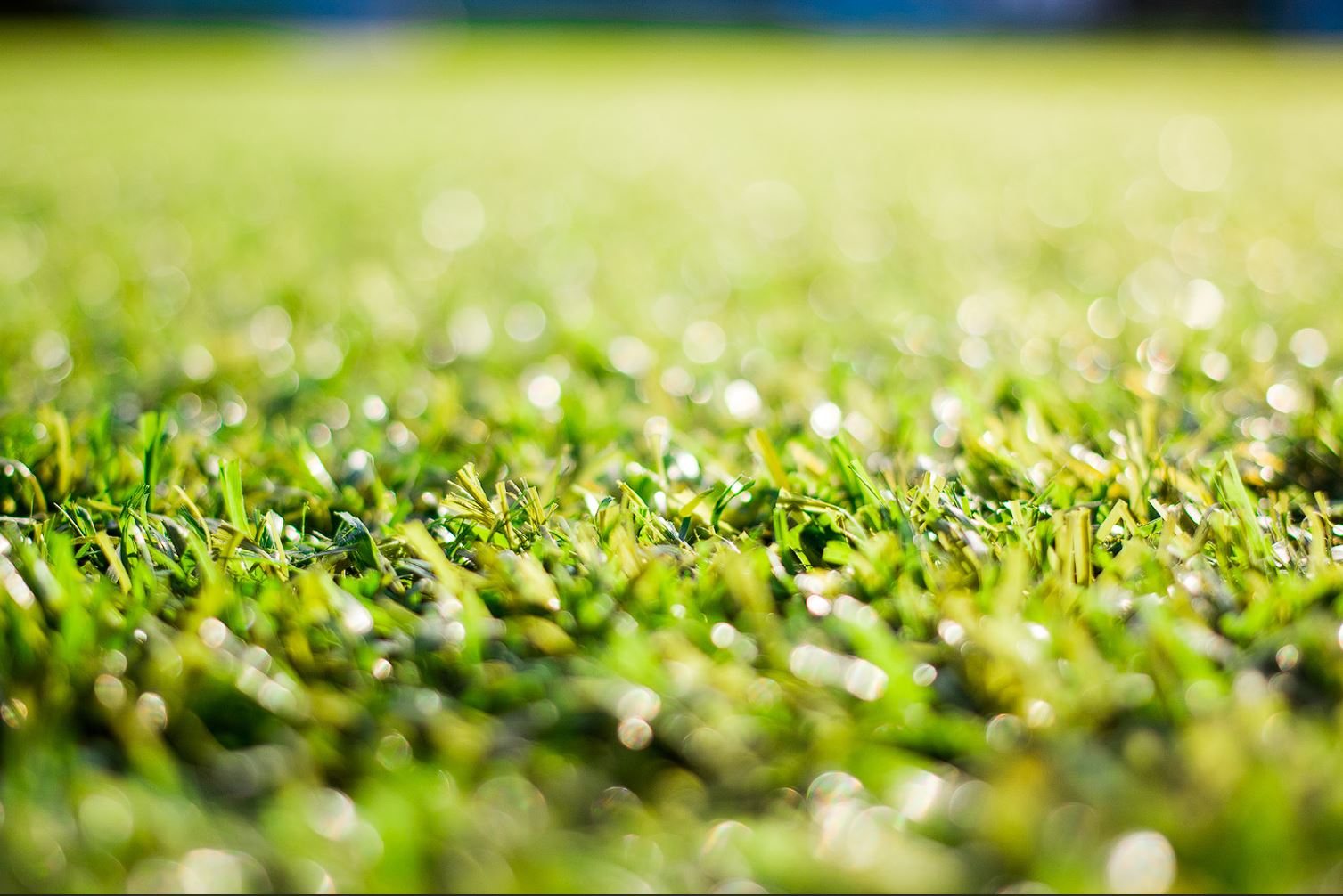 Artificial-Grass-Innerpages-BG