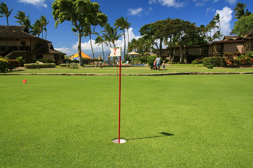 Putting Green Grass
