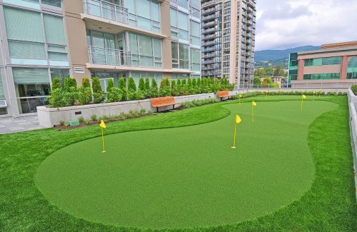 Putting Green Grass In Mesa, AZ