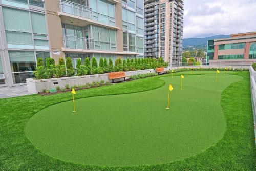 Putting Green Grass In Mesa, AZ